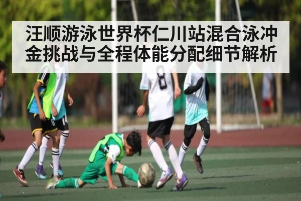 汪顺游泳世界杯仁川站混合泳冲金挑战与全程体能分配细节解析
